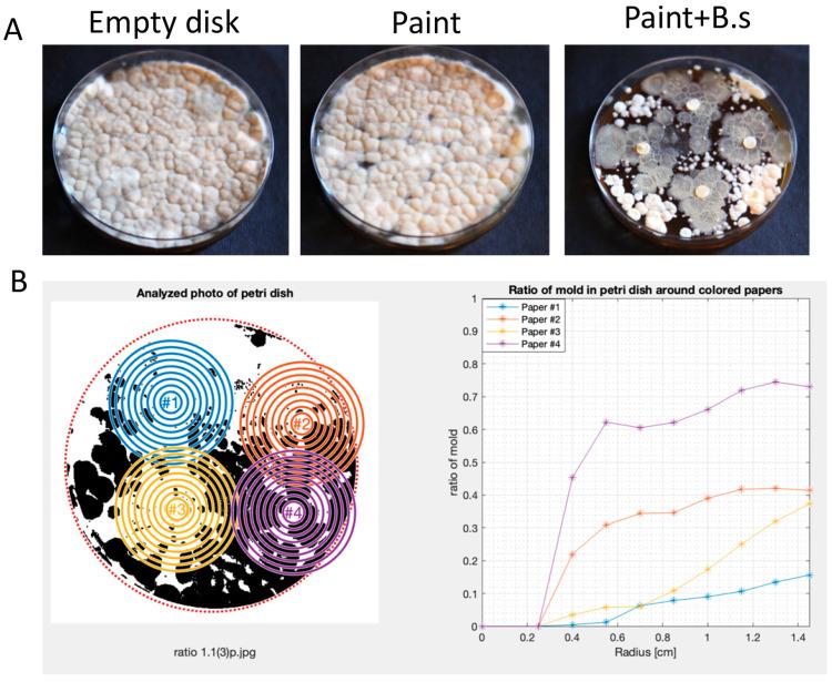 https://cdn.ncbi.nlm.nih.gov/pmc/blobs/ec00/11205451/91522921eb4d/microorganisms-12-01226-g003.jpg