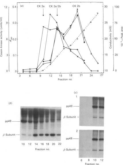 https://cdn.ncbi.nlm.nih.gov/pmc/blobs/ec00/1151316/4186a9a89dcd/biochemj00154-0226-a.jpg