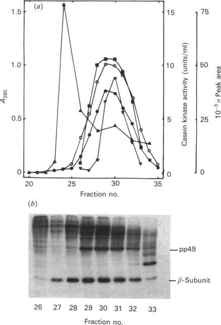 https://cdn.ncbi.nlm.nih.gov/pmc/blobs/ec00/1151316/732e392f2f86/biochemj00154-0225-a.jpg