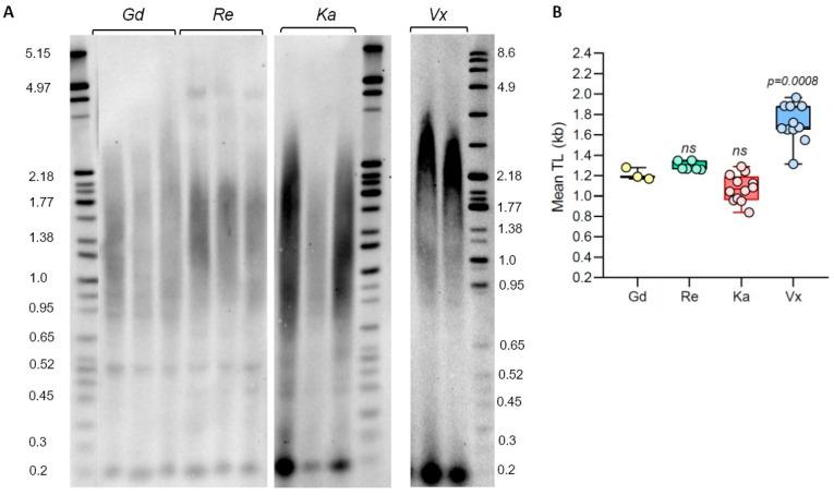 https://cdn.ncbi.nlm.nih.gov/pmc/blobs/ec01/10856949/47f22c16067e/plants-13-00387-g001.jpg