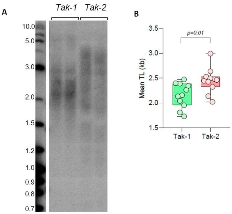 https://cdn.ncbi.nlm.nih.gov/pmc/blobs/ec01/10856949/baa57e3148cc/plants-13-00387-g004.jpg
