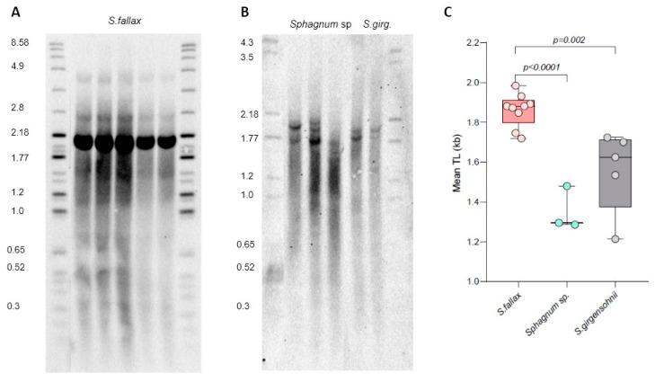 https://cdn.ncbi.nlm.nih.gov/pmc/blobs/ec01/10856949/c8986df9372e/plants-13-00387-g005.jpg