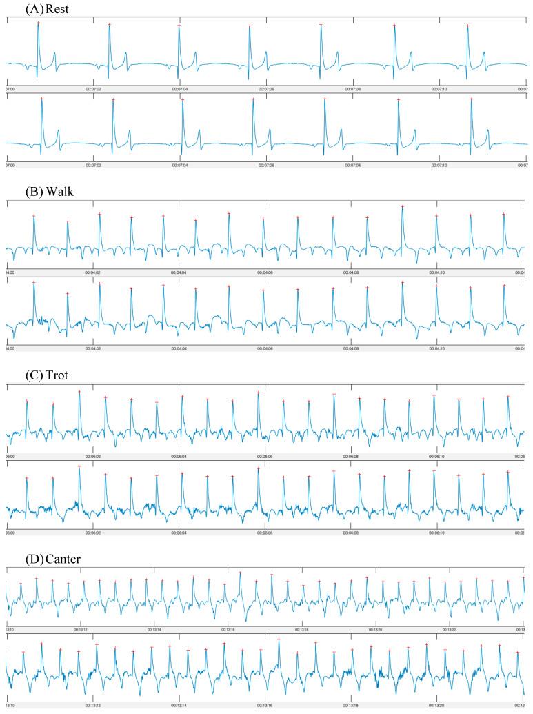 https://cdn.ncbi.nlm.nih.gov/pmc/blobs/ec02/9913118/84fdcc62bda7/animals-13-00512-g002.jpg