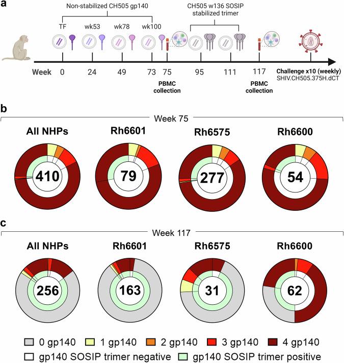 https://cdn.ncbi.nlm.nih.gov/pmc/blobs/ec03/12081853/917c27271886/43856_2025_899_Fig2_HTML.jpg