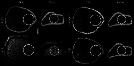 https://cdn.ncbi.nlm.nih.gov/pmc/blobs/ec04/10713252/a8e74d7b0b7d/RRP2023-7412540.001.jpg