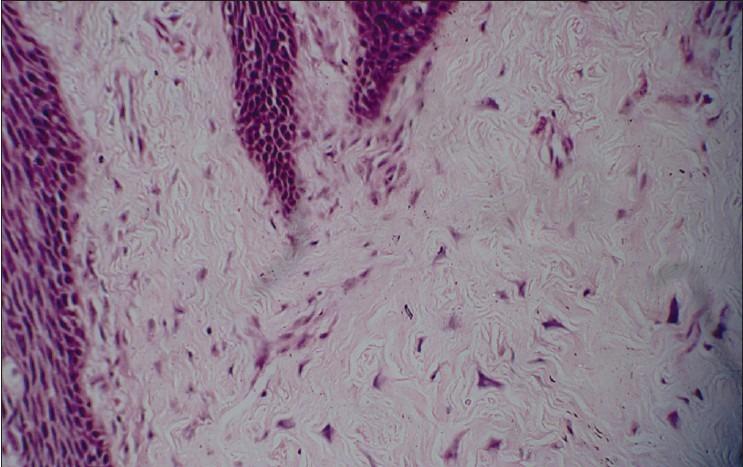 https://cdn.ncbi.nlm.nih.gov/pmc/blobs/ec05/3519210/6fe2bed7a8a4/JOMFP-16-359-g005.jpg
