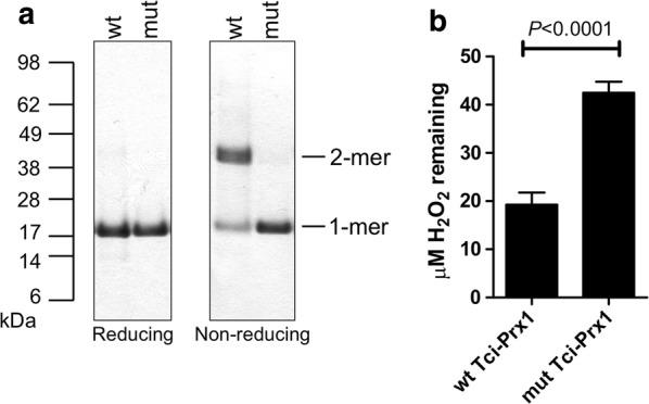 https://cdn.ncbi.nlm.nih.gov/pmc/blobs/ec08/6617597/60a26e67fd24/13071_2019_3593_Fig5_HTML.jpg