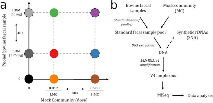 https://cdn.ncbi.nlm.nih.gov/pmc/blobs/ec0a/10008532/cea066318b43/41598_2023_30916_Fig1_HTML.jpg