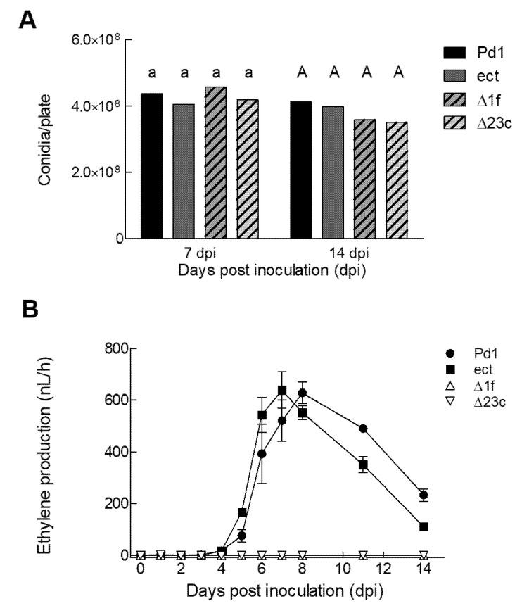 https://cdn.ncbi.nlm.nih.gov/pmc/blobs/ec0a/7558865/0ef223ca7cd8/jof-06-00175-g003.jpg