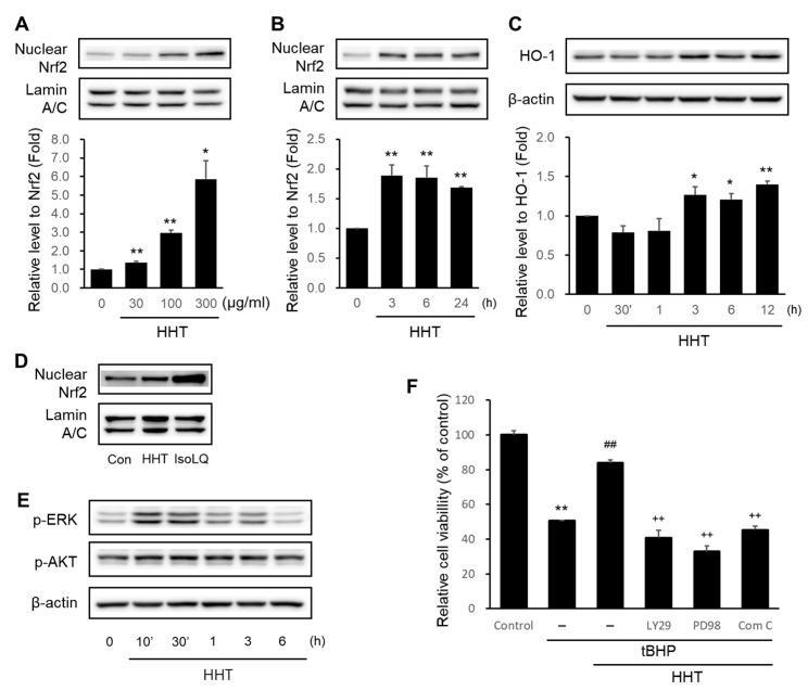 https://cdn.ncbi.nlm.nih.gov/pmc/blobs/ec0b/10889506/21218f65eb7f/ijms-25-02313-g004.jpg