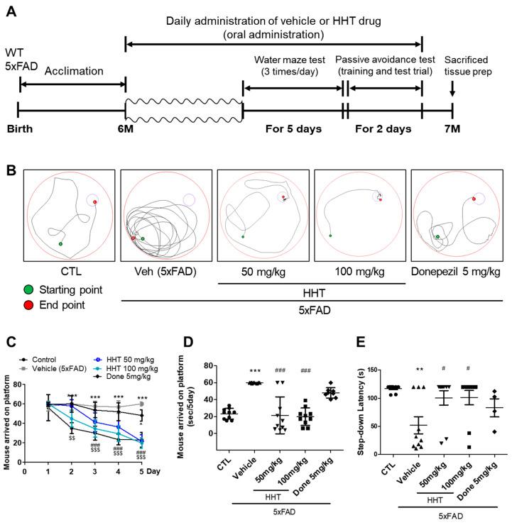 https://cdn.ncbi.nlm.nih.gov/pmc/blobs/ec0b/10889506/8966343c33fa/ijms-25-02313-g001.jpg