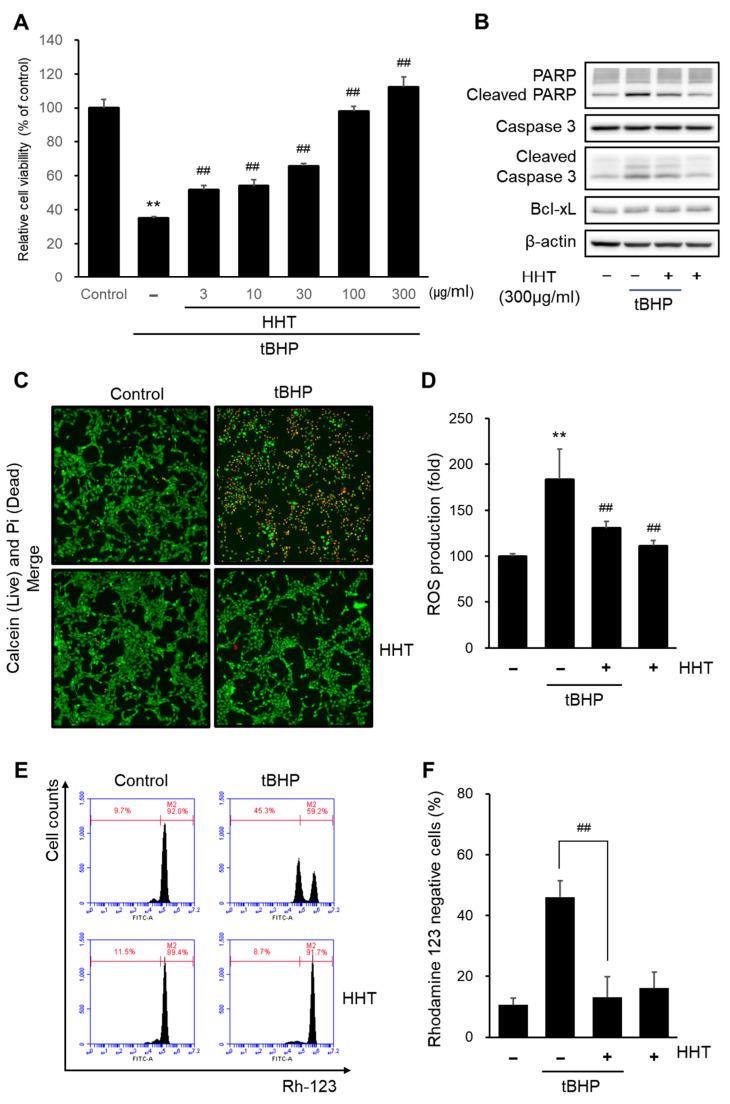 https://cdn.ncbi.nlm.nih.gov/pmc/blobs/ec0b/10889506/dd439e002f9c/ijms-25-02313-g003.jpg
