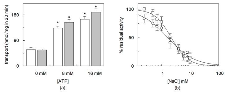 https://cdn.ncbi.nlm.nih.gov/pmc/blobs/ec0b/7037232/258524126bfd/ijms-21-01091-g006.jpg