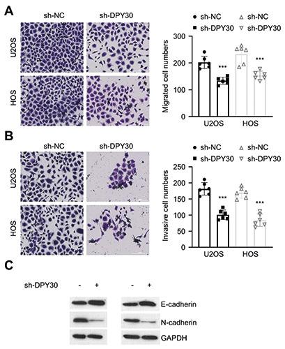 https://cdn.ncbi.nlm.nih.gov/pmc/blobs/ec0b/9827427/70be4f363896/ejh-67-1-3413-g003.jpg