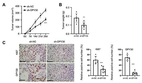 https://cdn.ncbi.nlm.nih.gov/pmc/blobs/ec0b/9827427/925e9a637cda/ejh-67-1-3413-g005.jpg
