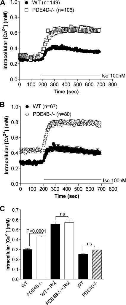 https://cdn.ncbi.nlm.nih.gov/pmc/blobs/ec0c/3069460/05bc58a4e5a9/zbc0181156790005.jpg