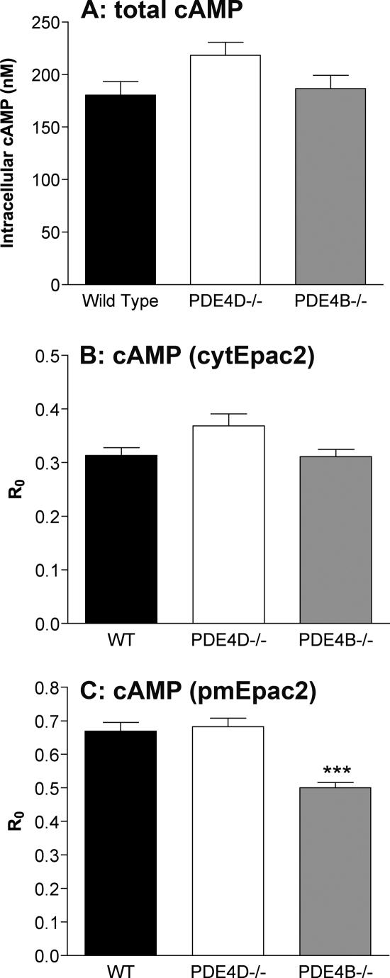 https://cdn.ncbi.nlm.nih.gov/pmc/blobs/ec0c/3069460/3be864b5d1ee/zbc0181156790006.jpg