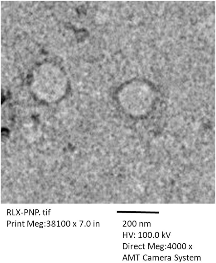 https://cdn.ncbi.nlm.nih.gov/pmc/blobs/ec0e/10559869/ec759da15b69/gr3.jpg