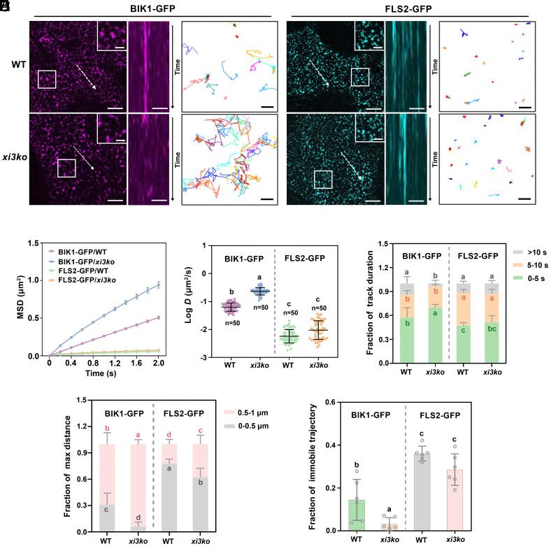 https://cdn.ncbi.nlm.nih.gov/pmc/blobs/ec0f/11194512/1d6923425815/pnas.2312415121fig03.jpg