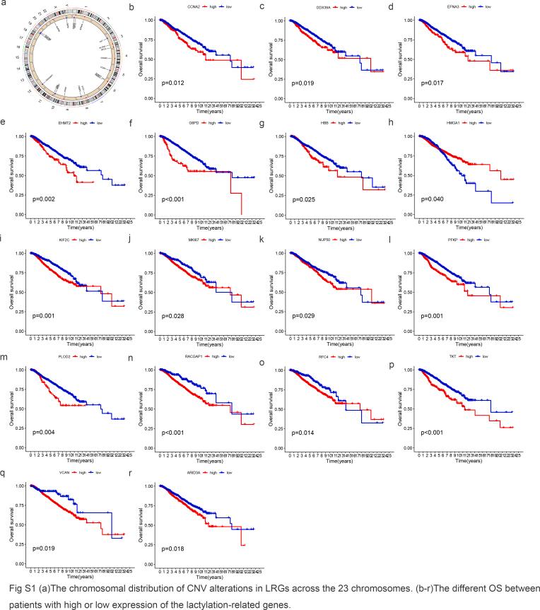 https://cdn.ncbi.nlm.nih.gov/pmc/blobs/ec10/10838739/5d5d1258f060/mmcfigs1.jpg