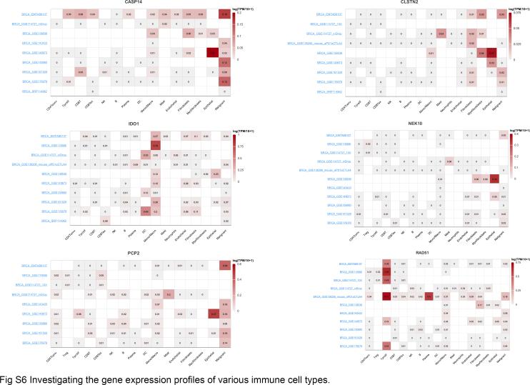 https://cdn.ncbi.nlm.nih.gov/pmc/blobs/ec10/10838739/712de69f20db/mmcfigs6.jpg