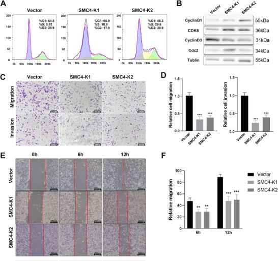 https://cdn.ncbi.nlm.nih.gov/pmc/blobs/ec10/12199409/25f471908416/ADVS-12-2500369-g009.jpg