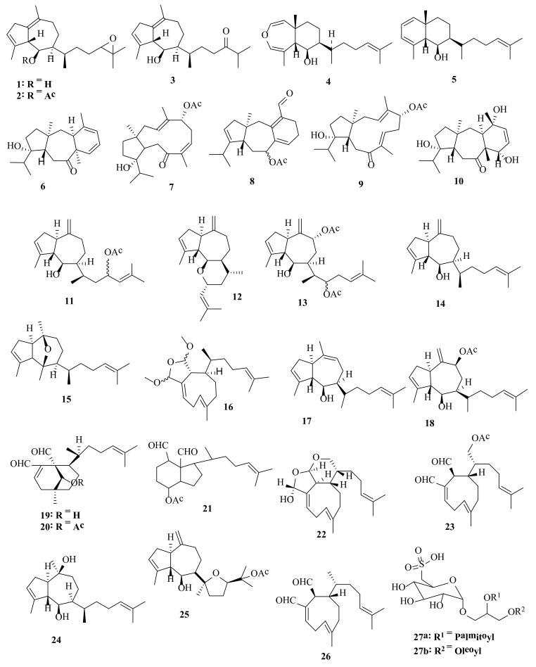 https://cdn.ncbi.nlm.nih.gov/pmc/blobs/ec11/8838102/a978f12d508f/molecules-27-00672-g002.jpg