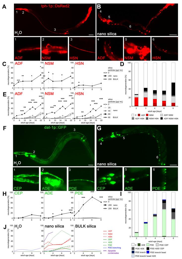 https://cdn.ncbi.nlm.nih.gov/pmc/blobs/ec12/10801581/70e4f92f24ad/jox-14-00008-g001.jpg