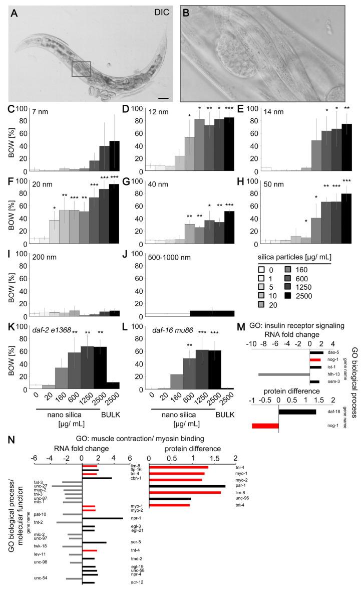 https://cdn.ncbi.nlm.nih.gov/pmc/blobs/ec12/10801581/8fe929cf7e23/jox-14-00008-g003.jpg