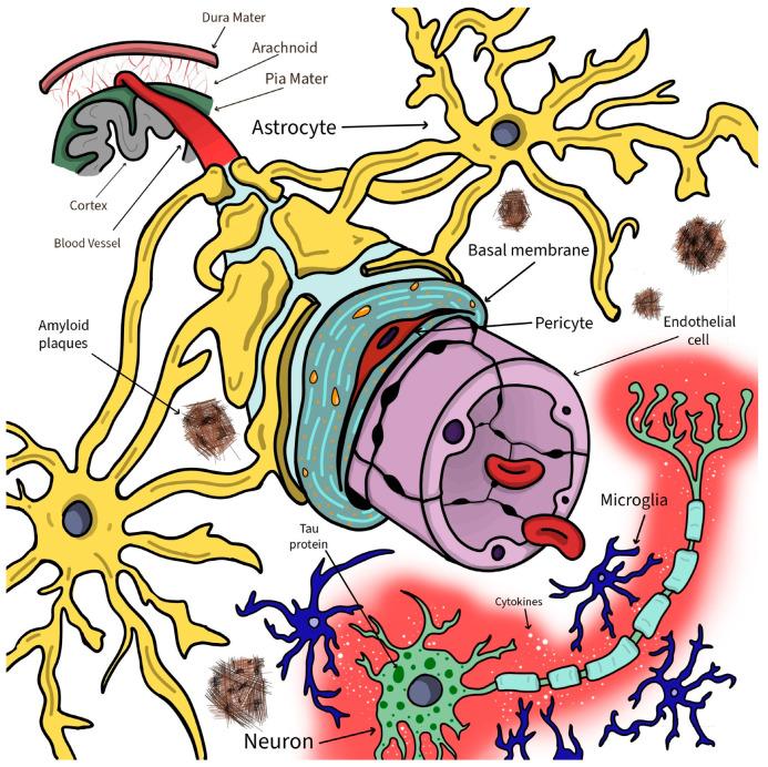 https://cdn.ncbi.nlm.nih.gov/pmc/blobs/ec13/9405874/585c104be26e/biomolecules-12-01136-g002.jpg