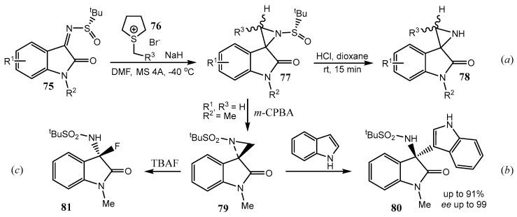 https://cdn.ncbi.nlm.nih.gov/pmc/blobs/ec15/12347284/16f42510e783/ijms-26-07435-g019.jpg