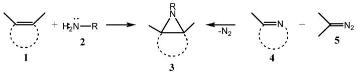 https://cdn.ncbi.nlm.nih.gov/pmc/blobs/ec15/12347284/2ada34fdd996/ijms-26-07435-g001.jpg