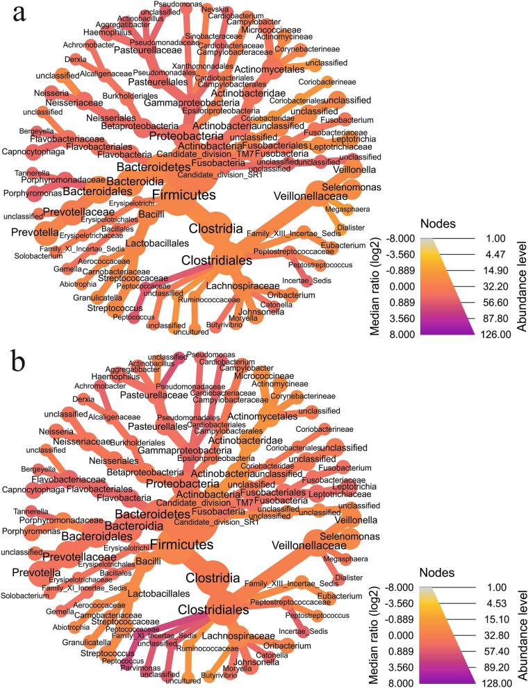 https://cdn.ncbi.nlm.nih.gov/pmc/blobs/ec15/7904847/17fa5239b9b5/41598_2021_83846_Fig2_HTML.jpg
