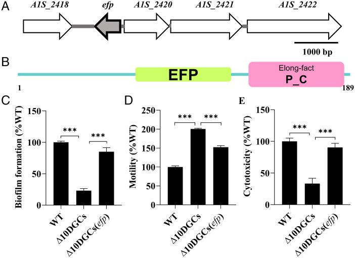 https://cdn.ncbi.nlm.nih.gov/pmc/blobs/ec15/9564936/0effb6705f5f/pnas.2209838119fig02.jpg