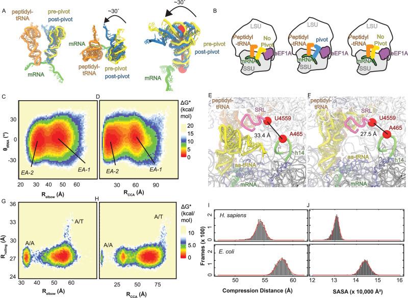 https://cdn.ncbi.nlm.nih.gov/pmc/blobs/ec16/12405580/221463c52892/41467_2025_63617_Fig4_HTML.jpg