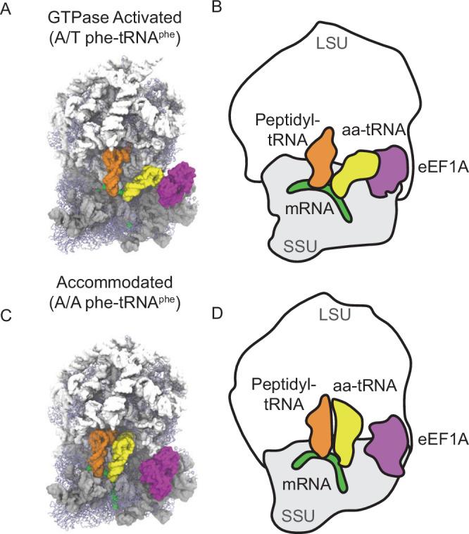 https://cdn.ncbi.nlm.nih.gov/pmc/blobs/ec16/12405580/4aaa397bfd0e/41467_2025_63617_Fig1_HTML.jpg