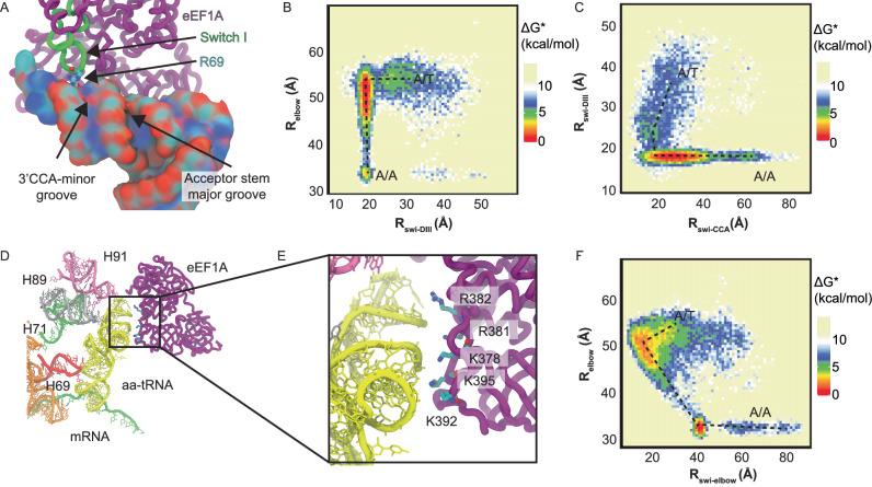 https://cdn.ncbi.nlm.nih.gov/pmc/blobs/ec16/12405580/b4ec0f39fd7c/41467_2025_63617_Fig6_HTML.jpg