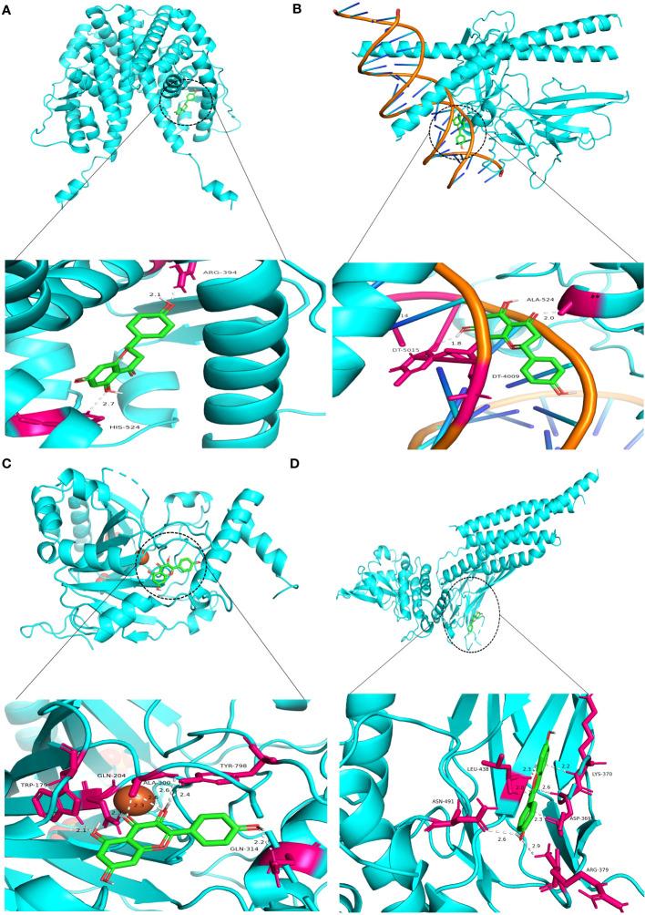 https://cdn.ncbi.nlm.nih.gov/pmc/blobs/ec1a/10548240/2b033c405841/fimmu-14-1235575-g008.jpg