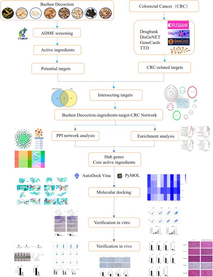 https://cdn.ncbi.nlm.nih.gov/pmc/blobs/ec1a/10548240/7bf2f62cd962/fimmu-14-1235575-g001.jpg