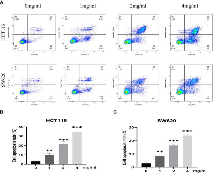 https://cdn.ncbi.nlm.nih.gov/pmc/blobs/ec1a/10548240/8660e5e24b32/fimmu-14-1235575-g010.jpg