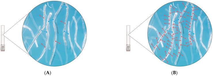 https://cdn.ncbi.nlm.nih.gov/pmc/blobs/ec1a/11511353/4eec748e3a97/polymers-16-02878-g005.jpg