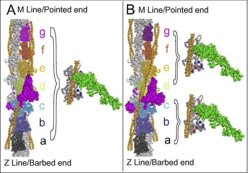 https://cdn.ncbi.nlm.nih.gov/pmc/blobs/ec1b/5367448/d08ab3e9b2c3/gr4.jpg