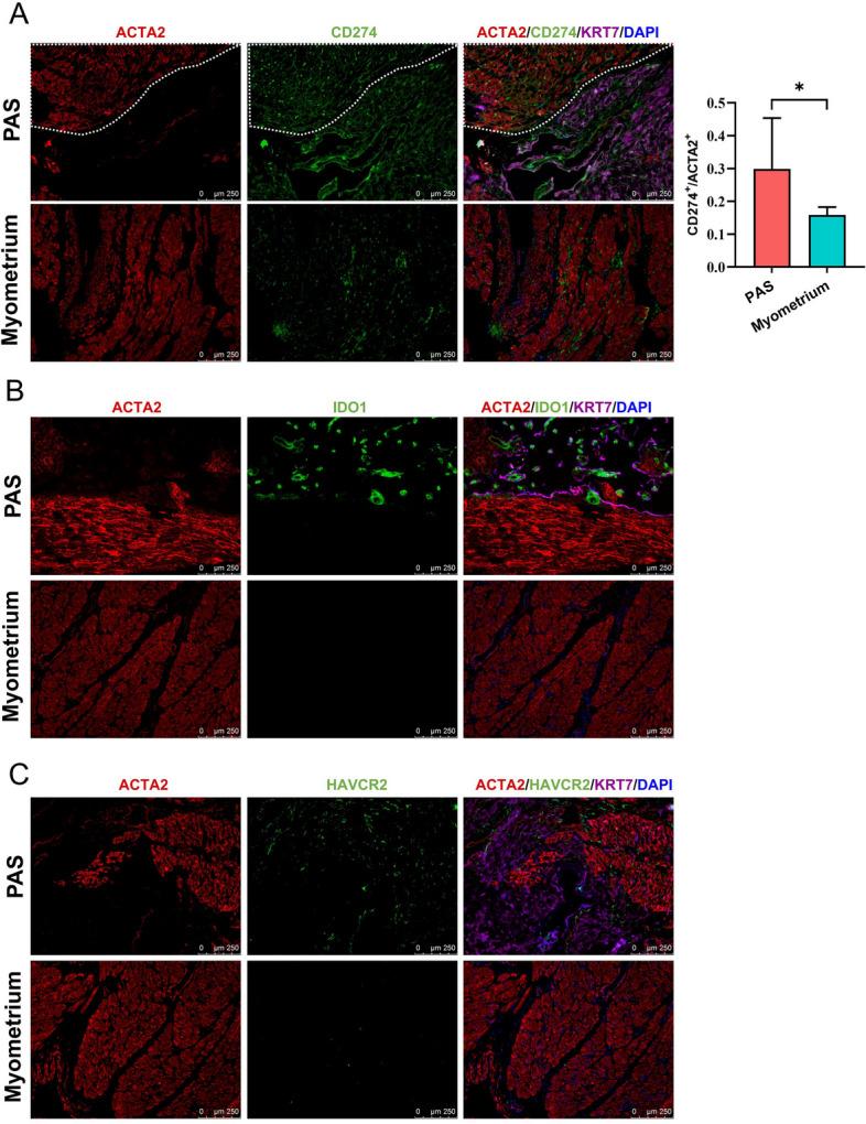 https://cdn.ncbi.nlm.nih.gov/pmc/blobs/ec20/11149369/b3569c90fa22/40364_2024_598_Fig8_HTML.jpg