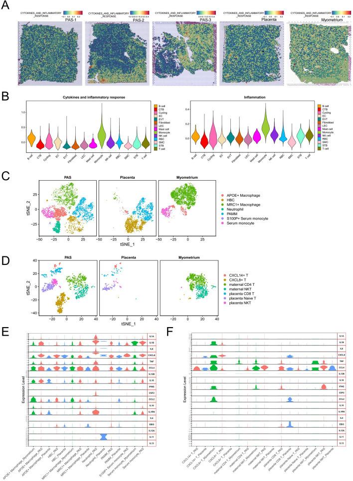 https://cdn.ncbi.nlm.nih.gov/pmc/blobs/ec20/11149369/f218a5529d23/40364_2024_598_Fig6_HTML.jpg