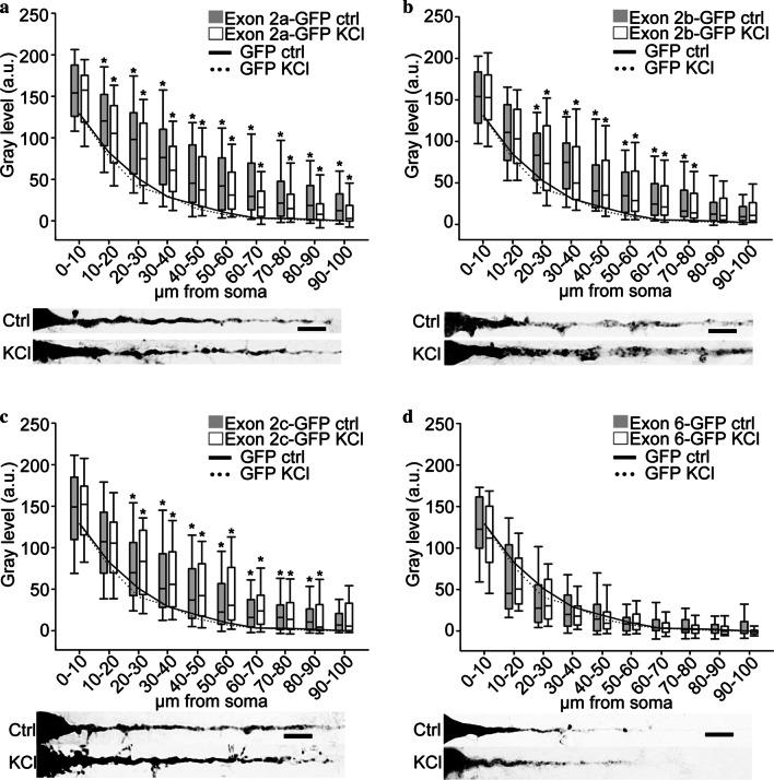 https://cdn.ncbi.nlm.nih.gov/pmc/blobs/ec20/7805101/af8ea613d57f/13041_2020_680_Fig2_HTML.jpg