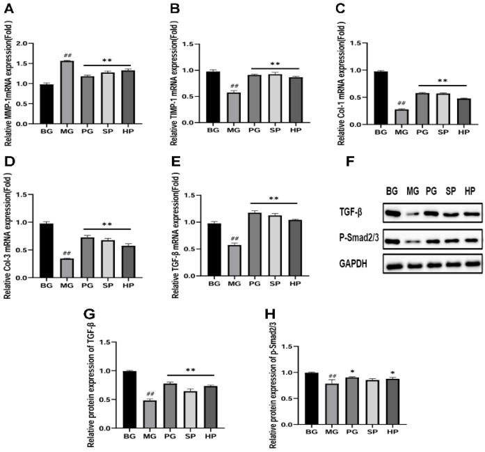 https://cdn.ncbi.nlm.nih.gov/pmc/blobs/ec22/11397021/5568531b1131/molecules-29-04060-g005.jpg