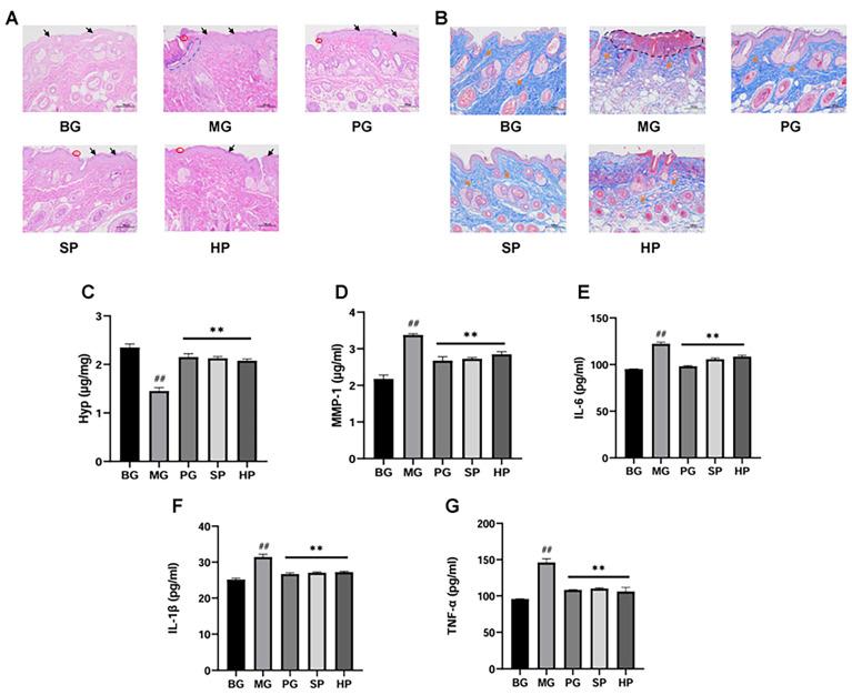 https://cdn.ncbi.nlm.nih.gov/pmc/blobs/ec22/11397021/619be550aa48/molecules-29-04060-g003.jpg