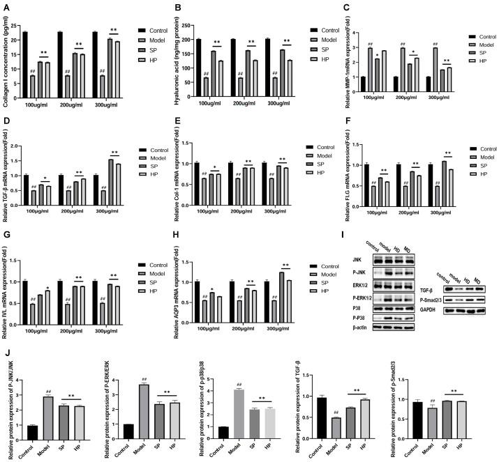 https://cdn.ncbi.nlm.nih.gov/pmc/blobs/ec22/11397021/8d8c7fd4507e/molecules-29-04060-g002.jpg