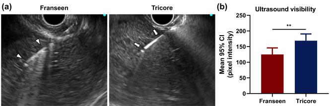 https://cdn.ncbi.nlm.nih.gov/pmc/blobs/ec24/11439050/0622d404e02a/41598_2024_73184_Fig3_HTML.jpg