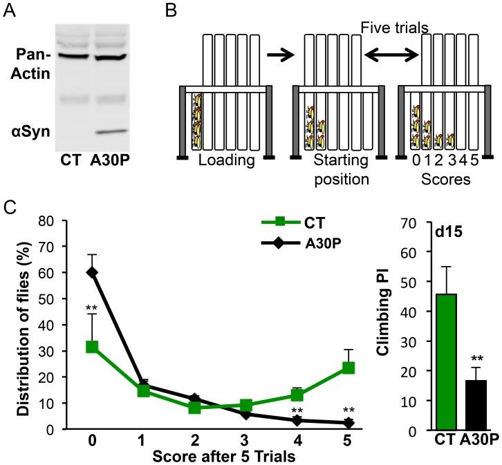 https://cdn.ncbi.nlm.nih.gov/pmc/blobs/ec24/4039441/66b6a5c8b6da/pone.0097758.g001.jpg